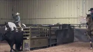 PayPal video