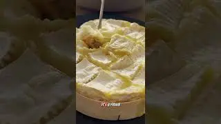 The Art of Eating Camembert: A Guide
