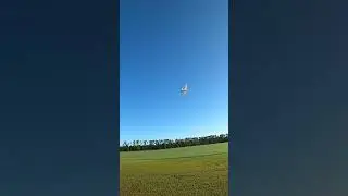Carbon Cub SS landing. #eflite #horizonhobby #rcflying #rcplane