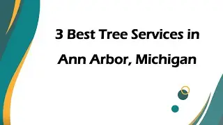 3 Best Tree Services in Ann Arbor, Michigan | Arborists