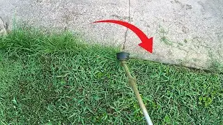 I Transformed This Lawn Step by Step The Most Satisfying Lawn Transformation Yet!