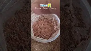 Flipkart Flower Seeds review #unboxing #Seedsreview #plants #plantation #flowers #flipkart #subscrib
