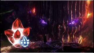 The 5-Star Nexus Has Come To Bargain