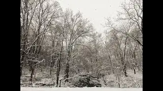 MID-APRIL SNOWFALL