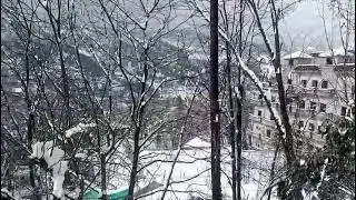 @kashmir