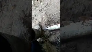 Не зря прыгал по обрывам