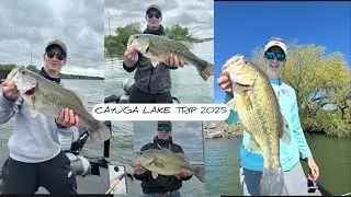 CAYUGA LAKE BASS FISHING | HUGE BASS | NON-STOP ACTION!