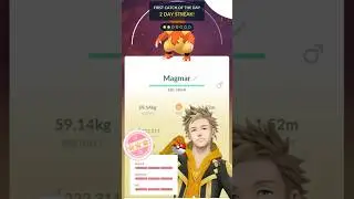 WILD 100% IV Pok&eacute;mon 😱 | Insane Luck in Pok&eacute;mon GO