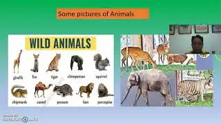 Chapter 3 Diversity in Living Things and Their Classification