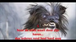 10 lelijke honden
