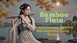 Sáo Trúc Truyền Thống  Thư Giãn Dễ Ngủ | Traditional Bamboo Flute Gentle Relaxation Easy Sleep.