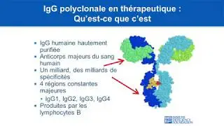Vue d’ensemble des la thérapie Ig et des états pathologiques dans lesquels elle est utilisée