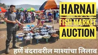 HARNAI FISH MARKET AUCTION | HARNAI BEACH | DAPOLI | KOKAN | DAPOLI TOURISM| EXPLORING DAPOLI PART-3