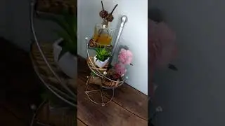 Floreira Expositor Espiral Mini Suculentas/Flower Display Spiral Mini Succulents
