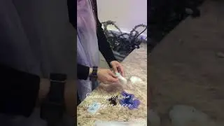Мастер-класс по эпоксидной смоле Уфа #floralepoxy #epoxyresin