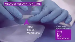 Collagen Matrix - Dental Membranes - MatrixDerm&reg; - Product Demo
