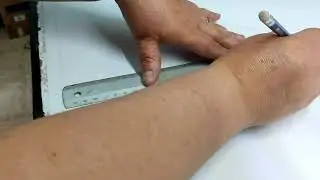 DELANTERO Y ESPALDA BASE - SISTEMA MÉXICO