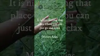 Mind Relax Quotes | Just Go and Relax #Shorts