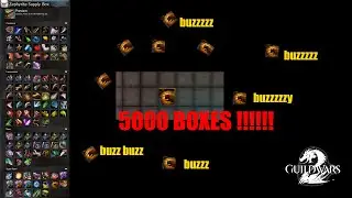 5000 Zephyrite Suppy Box Opening !! BUZZ BUZZ !!! 2021 Guild Wars 2