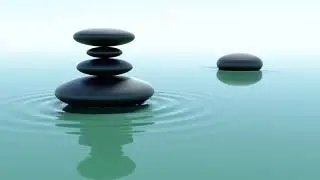 zenVideo