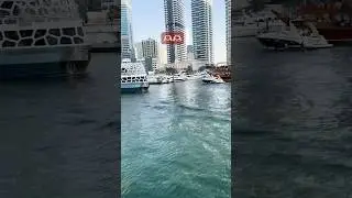 🫶🏻🌊&hearts;️ #shortsfeed #trending #viral #shorts #explore #song #dubai