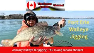 January walleye for jigging -Thu duong canada channel