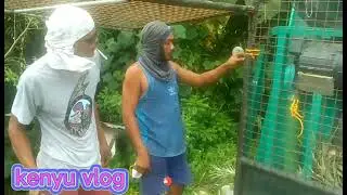 #Prepare and repair the hauling elf unit for private planting materials..