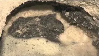 Oil Spill Truth: Tarballs on Horn Island, MS