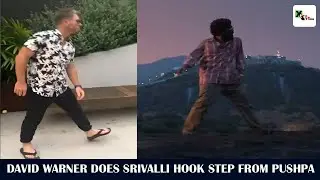 David Warner Dance For Pushpa Srivalli Song | Allu Arjun | David Warner Latest Reel