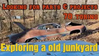 Исследование старой свалки. Часть 5. Авторазборка Charlies. #исследование #свалка #ford
