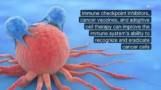 Potential roles of angiogenesis inhibitors in cancer treatment