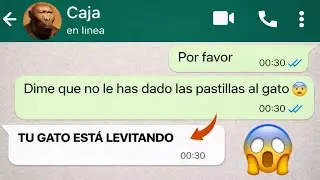 Nunca le pidas AYUDA a CAJA - Memes de WhatsApp
