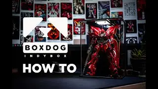 BOXDOG INDYBOX