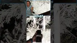 My Biggest Jumpscare Ever?