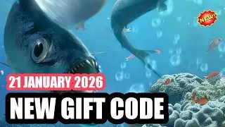 Fishing Clash New Gift Code 2026 - FISHING CLASH CODES