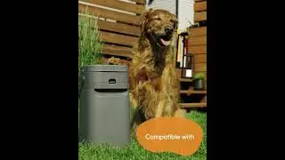 Pet Genie Replacement Bags