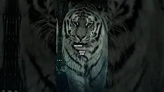 Territory protection🐯