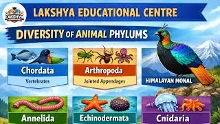 &ldquo;All Animal Phylum in One Video 🔥 | 100% Exam Guaranteed | Biology Shortcut&rdquo;#Animal #Biology#Dilogus