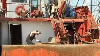The Fishing Fleet of Viking Village