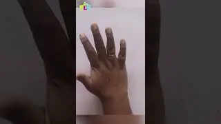 DIY Fish Eraser 🐠 #shorts #shortvideo #shortsfeed #cute #diy #trending