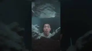 the worst thing you can do as a fishkeeper #aquarium #aquascapers #freshwatertank #fish #aquscaping