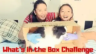 What's in the Box Challenge | LockDownGames