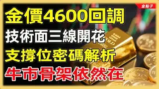 金價4600回調，技術面三線開花，支撐位密碼解析，牛市骨架依然在#投資#理財#退休金#晚年生活#晚年幸福#富人思維#財商#養老#黃金