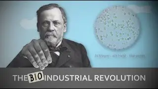 Bioindustry 4.0: Bringing the AI revolution to biotechnology