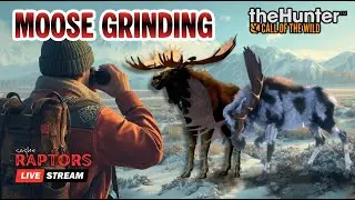 COTW LIVE | Going for Great one MOOSE #12! (Portrait)