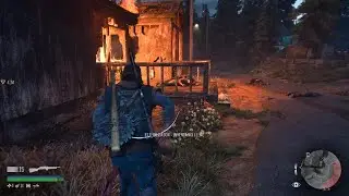DAYS GONE_20251224151001