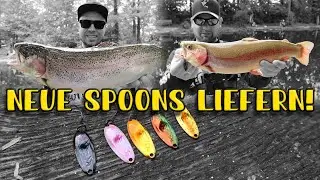 Neue Spoon&acute;s ROCKEN! Forellenangeln im Sommer