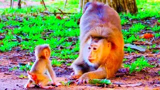 The Best  Clip: #49, Mommy Rose's Happiness: Her Baby's Fast Development. @monkeyscorner