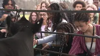 Learning about nature and agriculture outside the classroom