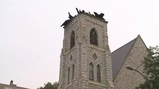 Storms cause damage across St. Louis area